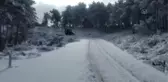 BALIKESİR - Doğada aç kalan sokak hayvanları unutulmadı