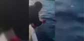 Datça'da balıkçılar tuttukları ay balığını tekrar denize bıraktı