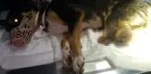 Bunun adı vahşet! Arka 2 bacağı kesilmiş yavru köpek bulundu