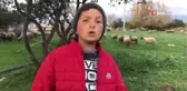 12 yaşındaki küçük çoban videolarıyla fenomen oldu