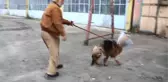 Samsun'da dükkanının önünde baktığı köpeğini ayağı kesik vaziyette bulan esnaf şikayetçi oldu