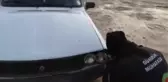 ŞANLIURFA - Akçakale Gümrük Kapısı'nda otomobilin motor bölümü ve bagajına gizlenmiş 4 kuzu bulundu