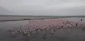 Son dakika haberi! Gala Gölü'nün 