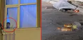 Anne ve babasının cansız bedenini camdan gören çocuk, halen yaşadıklarını sanıyormuş