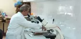 Bolu Aladağlar'da yeni bitki türü keşfedildi
