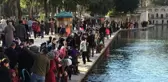 Türkiye'de insanlar doğduğu kentte yaşasaydı en kalabalık il Şanlıurfa olacaktı