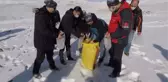 Karlı arazide safari yapan 