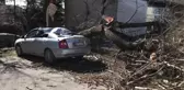 ESKİŞEHİR - Şiddetli rüzgarda park halindeki otomobilin üzerine ağaç devrildi