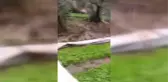 Kale'de kuvvetli rüzgar ve sağanak etkili oluyor