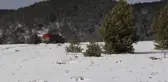 KASTAMONU - Yaban hayvanları için doğaya yiyecek bırakıldı