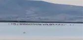 Seyfe Gölü Kuş Cenneti, yağışların ardından flamingo, ördek ve angutlarla şenlendi