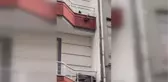 Amasya'da ayaklarına ip dolanan güvercini itfaiye ekipleri kurtardı