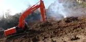İtalya'dan gelen 'Drakula' Maçka'da çiftçinin kabusu oldu! Fındık ağaçları bir bir yakılıyor