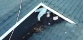 Çatıya saklanan hırsız, droneden kaçamadı