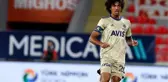 Luiz Gustavo, yaklaşık 2 hafta sahalardan uzak kalacak