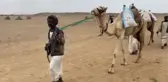 Türk Kızılay Sudan'ın Güney Kurdufan ve Kızıldeniz eyaletlerinde 1300 gıda paketi dağıttı
