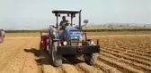 Çukurova'da mısır tohumları toprakla buluşuyor