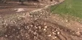 ŞANLIURFA - Göbeklitepe yakınlarındaki gizemli monolitin kaybolması vatandaşları şaşırttı