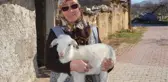 Şehit oğlunun ismini verdiği kuzusu çalınan anne: İsteselerdi maaşımı verirdim