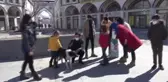 Gürpınar'da sokak hayvanlarına yem bırakıldı