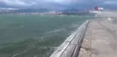 İzmir'de fırtına kabusu geri döndü, kırılan ağaçlar otomobillerin üzerine devrildi