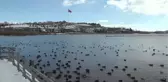 Gölbaşı'nda vatandaşlar Mogan Gölü'nde karın keyfini çıkardı