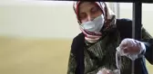 Mantar üretimine başlayan kadın, 