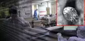 Korona bitmeden bir yeni salgın daha: Dirençli uyuz vakaları patladı, 15 dakikalık temasta bulaşıyor