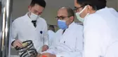 Kudret narının kırık tedavisinde olumlu etkileri tespit edildi