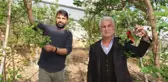 Daha önce yere dökülen kayısı çağlasının kilosu şimdilerde 100 TL'den satılıyor