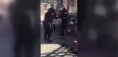 Yaralı serçe hayvan barınağına teslim edildi
