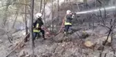 Fethiye'de çıkan orman yangını söndürüldü
