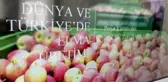 Elma ihracatını artırmak için rapor hazırlanacak