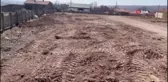 Belediye GES için yaşları 10-50 arasında değişen 100'e yakın çam ağacını kesti