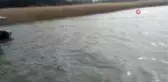 Kaçak avlanan 2 ton balık yeniden suya bırakıldı