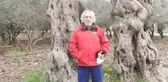 Özbek'te yaşayan mahalle sakinleri, arıtma tesisinin yerinin değiştirilmesini istedi