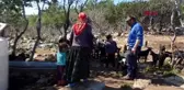 MERSİN Sarıkeçili Yörük kadınları, 8 Mart'tan habersiz yaşamlarını sürdürüyor