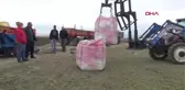 AFYONKARAHİSAR Sandıklı'da patates ekimi başladı