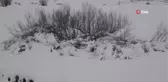 Ardahan'da kartpostallık kar manzaraları