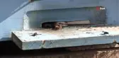 Bahar geldi arılar 4 aylık kış uykusundan uyandı