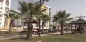 DİYARBAKIR - Belediye tarafından dikilen palmiye ağaçları kent sakinlerini mutlu etti