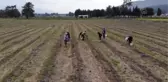 ODTÜ'lü Aslı'nın 
