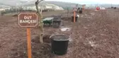 Sağlık çalışanları anısına 2 bin 500 fidanlı meyve ormanı
