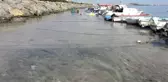 Pendik'te korkutan görüntünün gerçek nedeni belli oldu