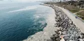 Pendik ve Kartal sahilindeki kirliliğin sebebi belli oldu: Deniz salyası