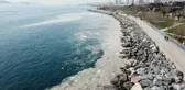 PENDİK VE KARTAL SAHİLİNDEKİ 'KİRLİLİĞİN