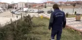 Vicdansızlığın böylesi görülmedi: Parktaki çam fidanları baltayla katledildi