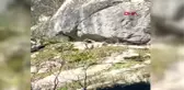 BARTIN Milli Park'a geziye giden iki arkadaş, kış uykusundan uyanan ayı ile karşılaştı