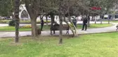 SAMSUN Karantinayı ihlal etti, parkta otururken yakalandı