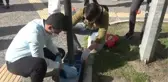 Üniversiteliler sahipsizlerin, sahibi oldular